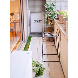 グリーンのある暮らし/マンション/フェイクグリーン/フィカス/人工芝...などのインテリア実例 - 2020-02-18 15:24:50