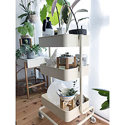 多肉植物 霧吹きのインテリア実例 Roomclip ルームクリップ