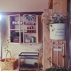 机/団地/DIY/壁掛けシェルフDIY/百均板部...などのインテリア実例 - 2016-02-24 20:10:36