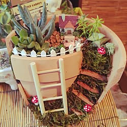 多肉植物 箱庭のインテリア実例 Roomclip ルームクリップ