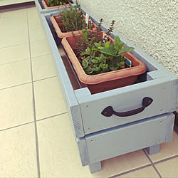 バジル パセリのインテリア実例 Roomclip ルームクリップ