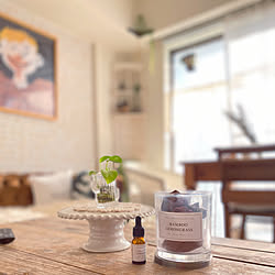 サボテン花瓶のインテリア実例 Roomclip ルームクリップ