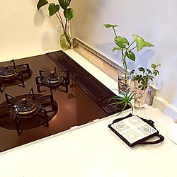 キッチン/100均アイテム/100均雑貨/ガラスタイル/グリーンのある暮らし...などのインテリア実例 - 2020-09-28 17:26:55