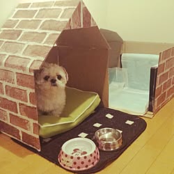 わんこの部屋のインテリア実例 Roomclip ルームクリップ