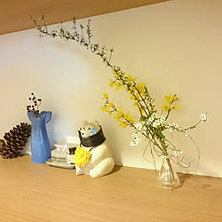 玄関 入り口 ピクミンのインテリア実例 Roomclip ルームクリップ