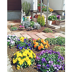 プラチーナ 庭のある暮らしのインテリア実例 Roomclip ルームクリップ