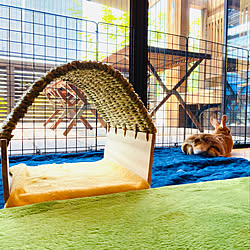 うさぎ小屋のインテリア実例 Roomclip ルームクリップ