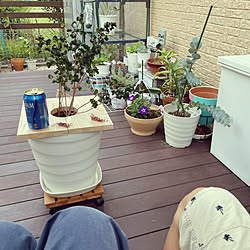 雨よけdiyのインテリア 手作りの実例 Roomclip ルームクリップ