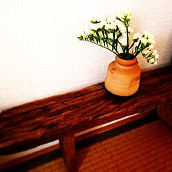 一階和室/流木棚/DIY/美濃焼/植物のインテリア実例 - 2014-03-25 13:56:31