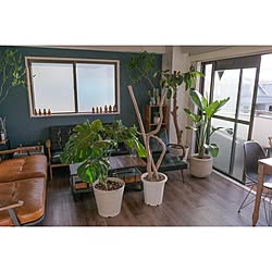 ACME FURNITURE/カリモクソファー/カリモク60 Kチェア/カリモク60/カリモク...などのインテリア実例 - 2020-11-23 08:15:48