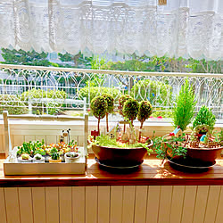 バス/トイレ/箱庭風/NO GREEN NO LIFE/いいね&フォローありがとうございます☆/北海道...などのインテリア実例 - 2018-08-18 11:27:46