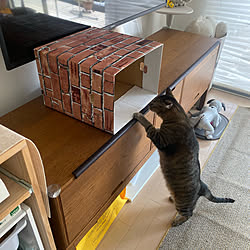 東横線 電車好き 電車 手作りおもちゃ 牛乳パック などのインテリア実例 21 09 25 21 58 27 Roomclip ルームクリップ