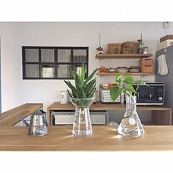 カインズ フラワーベース ガラス フラワーベース 水耕栽培 アロエ などのインテリア実例 21 10 12 12 50 50 Roomclip ルームクリップ