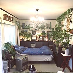 部屋全体/グリーン同盟❤/いつもいいねやコメありがとうございます♡/いいね!押し逃げばかりでごめんなさい。/ペットと暮らす家...などのインテリア実例 - 2017-03-14 08:36:17