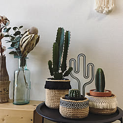 かぎ針編み 鉢カバーのインテリア実例 Roomclip ルームクリップ