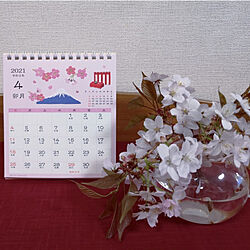 棚/カレンダー/４月/春/桜...などのインテリア実例 - 2021-04-01 18:09:07