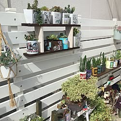 コーナン フェンスdiyのインテリア 手作りの実例 Roomclip ルームクリップ