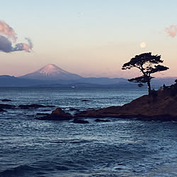 カメラマンは私/明日から仕事!!/富士山/インテリアじゃなくてごめんなさい/お正月...などのインテリア実例 - 2018-01-03 15:56:35