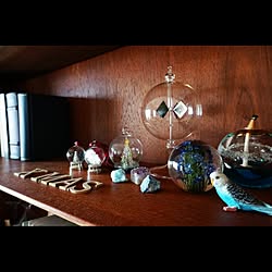 棚/本棚/津軽びいどろ/hafod grange/Schleich...などのインテリア実例 - 2014-11-07 15:48:17