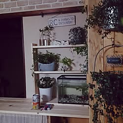 キッチン/飲兵衛部/ショートヘア愛好会/しゃれとんしゃあ会/団地...などのインテリア実例 - 2015-08-28 21:54:03