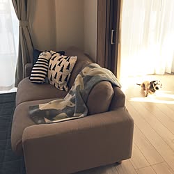 リビング/ひなたぼっこの愛犬/fine little day/北欧/無印良品...などのインテリア実例 - 2017-02-07 15:16:05