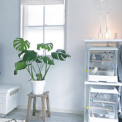 部屋全体/植物のある暮らし/ホワイトインテリア/スカンジナビアンインテリア/北欧インテリア...などのインテリア実例 - 2018-06-24 09:04:23