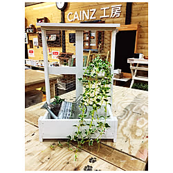 チキンネット/プランターカバーDIY/カインズ/ワークショップ/RCの出会いに感謝♡...などのインテリア実例 - 2019-06-11 14:57:56