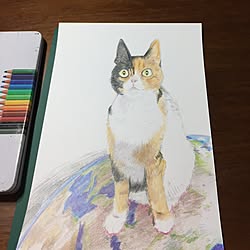 手描きイラスト 色鉛筆画のインテリア実例 Roomclip ルームクリップ 手描きイラスト 色鉛筆画のインテリア実例 Roomclip ルームクリップ