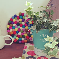 フライングタイガーの鍋敷きのインテリア実例 Roomclip ルームクリップ