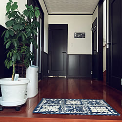 トイレマット セリア ミッキー しまむらのトイレマット Daiso などのインテリア実例 19 03 08 16 13 46 Roomclip ルームクリップ