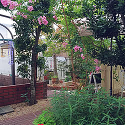 玄関/入り口/プレゼント/サルスベリの花❣️のインテリア実例 - 2020-05-18 09:22:33