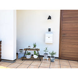 ハーブ寄せ植えのインテリア実例 Roomclip ルームクリップ ハーブ寄せ植えのインテリア実例 Roomclip ルームクリップ