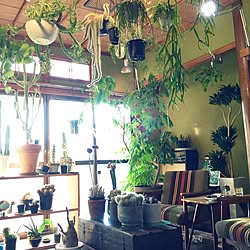 部屋全体 ナウシカのインテリア実例 Roomclip ルームクリップ 部屋全体 ナウシカのインテリア実例 Roomclip ルームクリップ