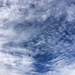 バス/トイレ/ココロの空/心配性部/ありがとうヽ(´▽`)//ワンオク依存症...などのインテリア実例 - 2016-11-28 08:56:07