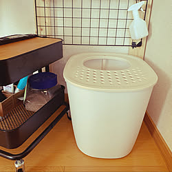 猫用トイレ/1LDK 1人暮らし/50代/100均/一人暮らし...などのインテリア実例 - 2020-02-11 13:43:58