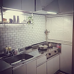 キッチン/DIY/インテリアを楽しむ/観葉植物/ステンレス...などのインテリア実例 - 2019-03-08 22:54:42