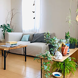 朝ドラ エールのインテリア実例 Roomclip ルームクリップ 朝ドラ エールのインテリア実例 Roomclip ルームクリップ