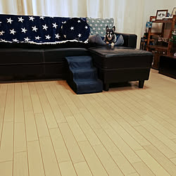 部屋全体/わんこと暮らす家/ありがとうございます♡/頑張ります★/RCの出会いに感謝♡...などのインテリア実例 - 2017-12-27 17:03:08