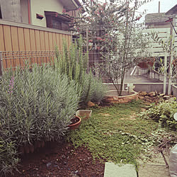 ラベンダーグロッソのインテリア実例 Roomclip ルームクリップ