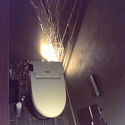 ダークなトイレのインテリア実例 Roomclip ルームクリップ