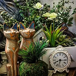 玄関/入り口/多肉風寄せ植え/ダイソー苔玉/アジアン雑貨/猫置物...などのインテリア実例 - 2017-06-19 10:45:14