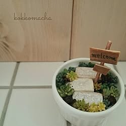 机/2015/03/20/朝の1枚/大きさ直径4.5㌢/セダムの寄せ植え...などのインテリア実例 - 2015-03-20 07:57:46