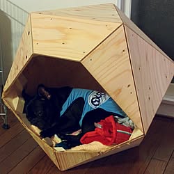 リビング 茶箪笥 柵diy 犬小屋 押入れ改造 などのインテリア実例 17 06 09 09 16 28 Roomclip ルームクリップ
