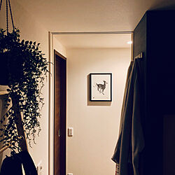 廊下の飾り/廊下の壁/テームヤルヴィ/黒い額装/IKEA...などのインテリア実例 - 2020-03-13 23:46:48