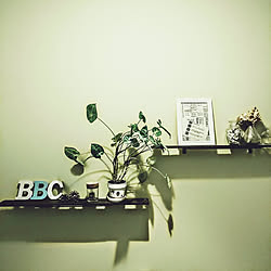 壁/天井/DIY/NO GREEN NO LIFE/トイレの壁/トイレ...などのインテリア実例 - 2020-05-08 00:55:51