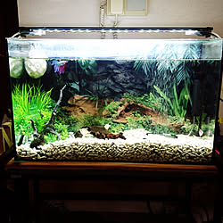 しらほし姫のインテリア実例 Roomclip ルームクリップ