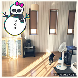 壁/天井/2017.10.31/室内干しスペース/猫トイレがズラーっと。/エコカラット・モニター応募...などのインテリア実例 - 2017-10-31 09:28:56