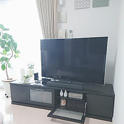 リビング/レコーダー置き場/マンション暮らし/子供と暮らす家/犬のいる暮らし...などのインテリア実例 - 2020-02-25 12:31:57