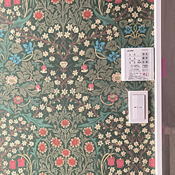 コイズミ照明 レトロ ウィリアムモリス 洗面所 照明 などのインテリア実例 21 07 12 23 08 35 Roomclip ルームクリップ