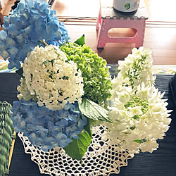 カメラマーク消し☆/皆様のpickに追いつきません!/コラボ♡/紫陽花/アナベル...などのインテリア実例 - 2020-06-05 09:39:36